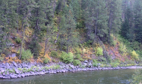 [view of the hillside on the far side of relatively calm water at the bottom of the hillside with stones near the water's edge.]